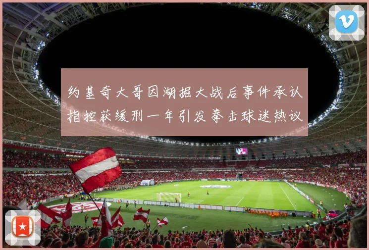 约基奇大哥因湖掘大战后事件承认指控获缓刑一年引发拳击球迷热议