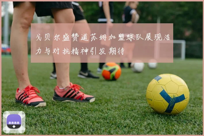 戈贝尔盛赞道苏姆加盟球队展现活力与对抗精神引发期待