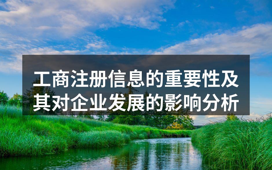 工商注册信息的重要性及其对企业发展的影响分析