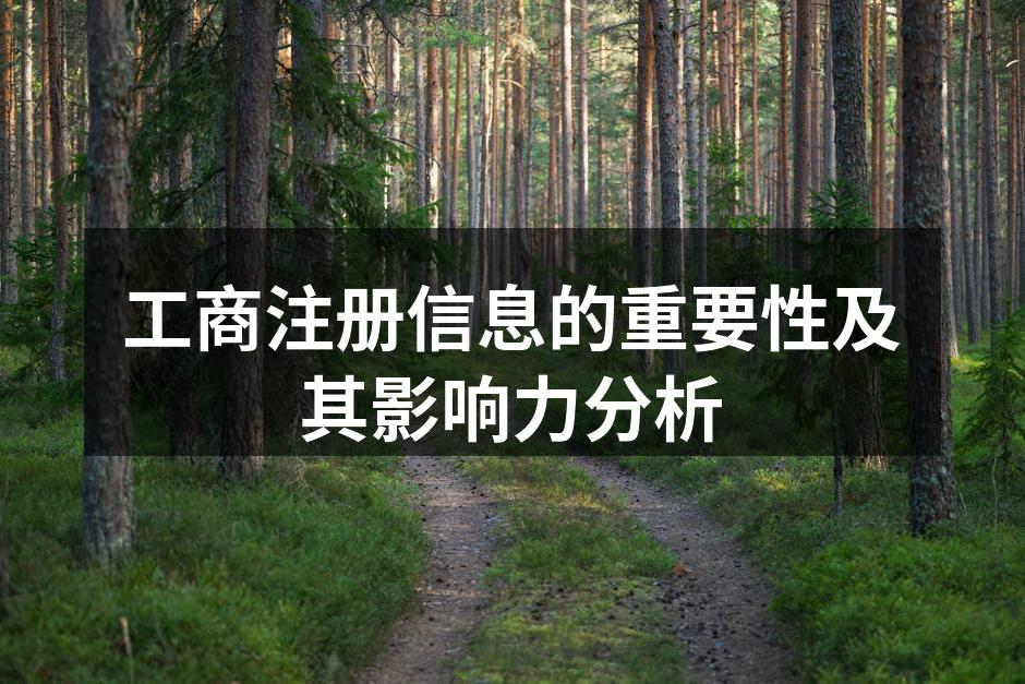 工商注册信息的重要性及其影响力分析